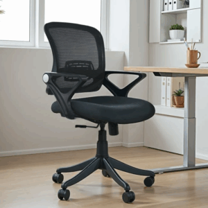 Aquila Mid-Back Mesh Ergonomic Office Chair (Black)