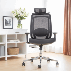 Debra High Back Ergonomic Mesh Office Chair with Recline & Slide Adjustability (Black)