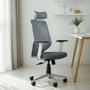 Pictor High Back Mesh Ergonomic Office Chair With Durable Nylon Base (Grey)